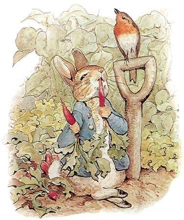 conejito comiendo zanahorias junto a un pajarito